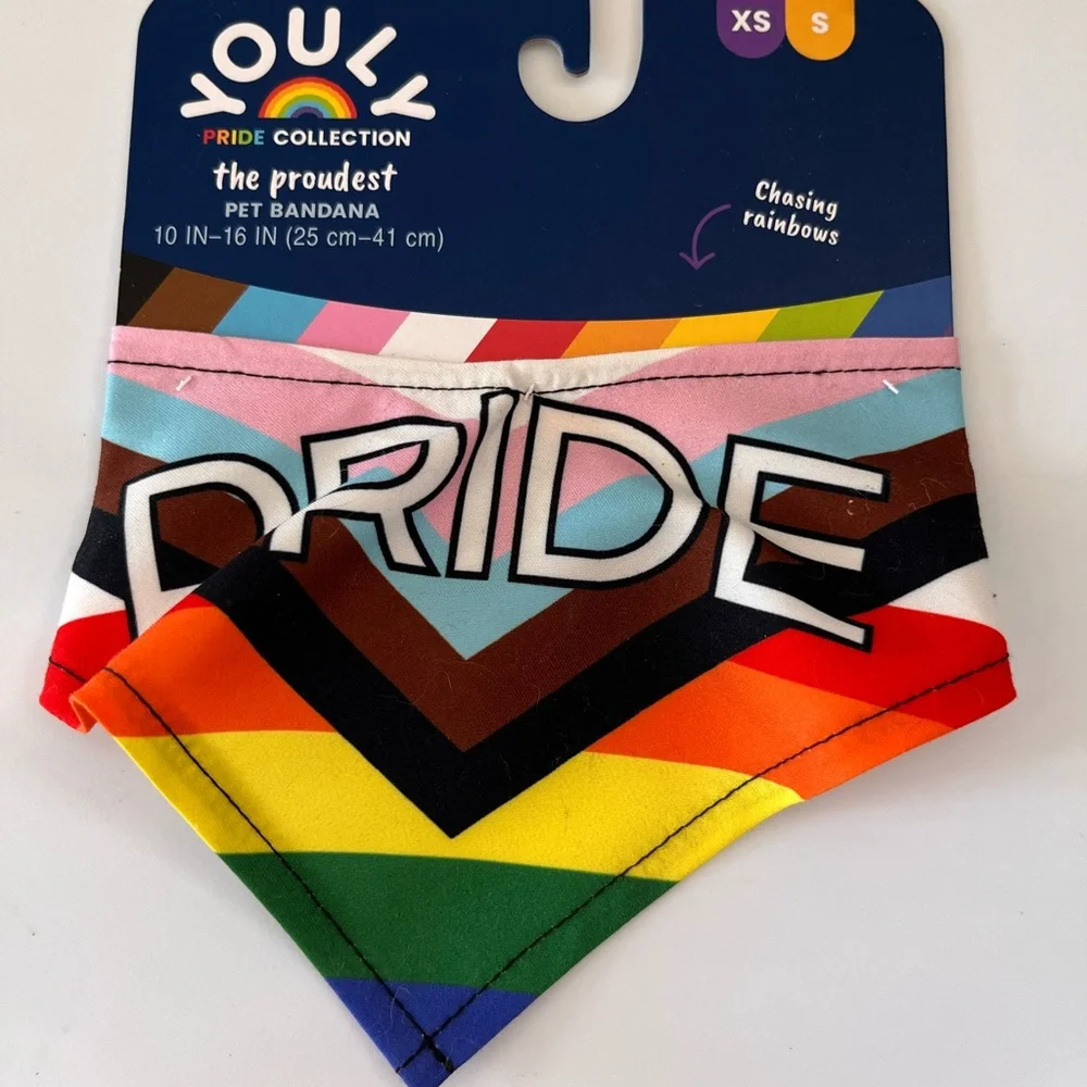 Youly Collection Vibrant Pride Pet Bandana from the Pride Collection - Picture 2 of 3